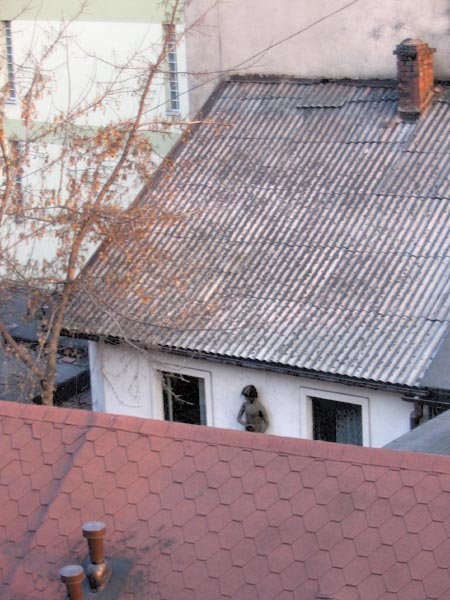 Fotografie Rybnika