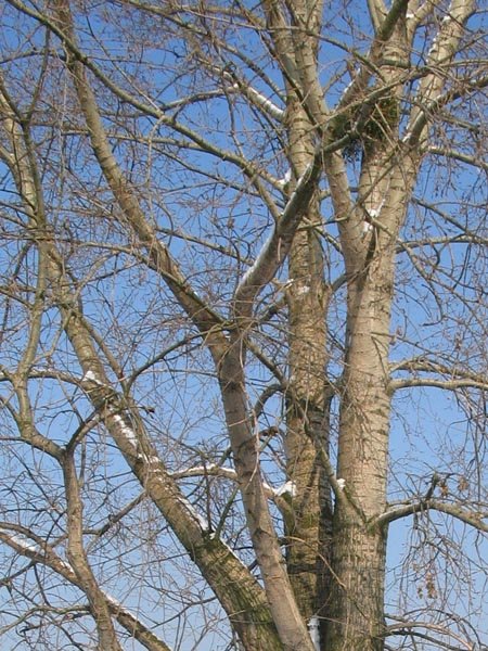 Fotografie Rybnika