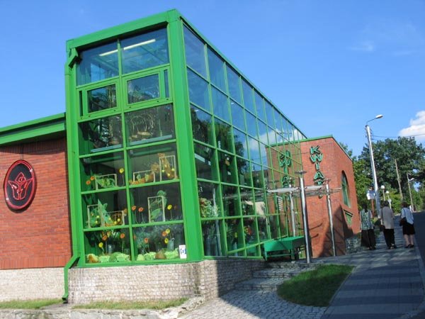 Fotografie Rybnika